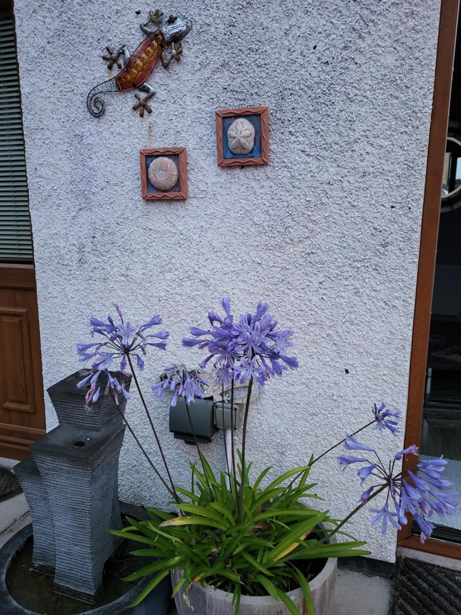 Carlingford Mountain And Sea Views Διαμέρισμα Εξωτερικό φωτογραφία